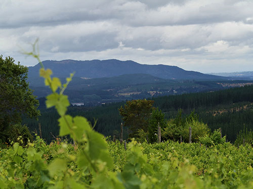 valle-1