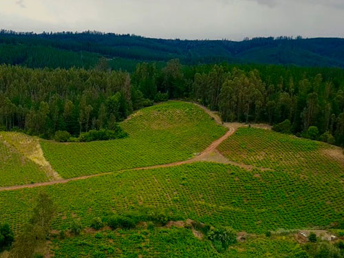 valle-magdalena
