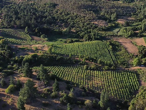 valle-quinchamali